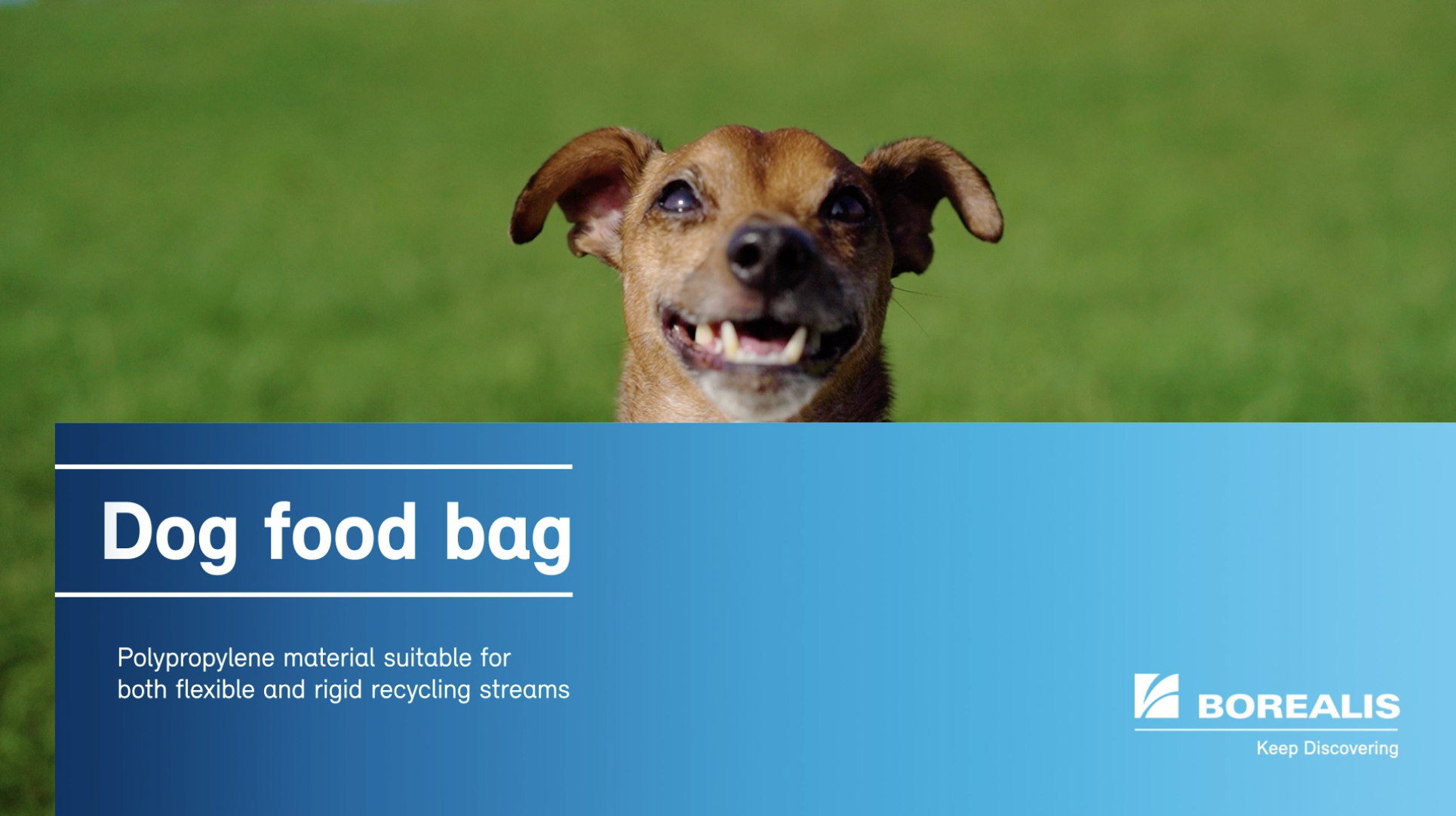 are-dog-food-bags-recyclable